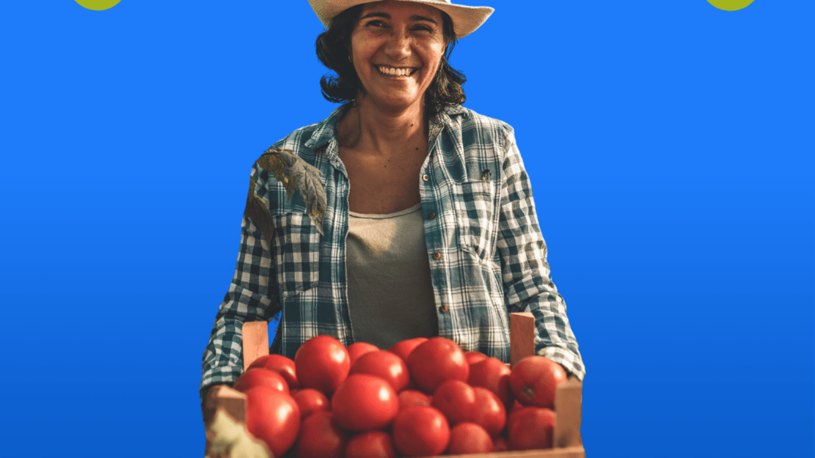 Agricultura